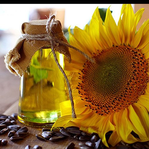 Sunflower Oil